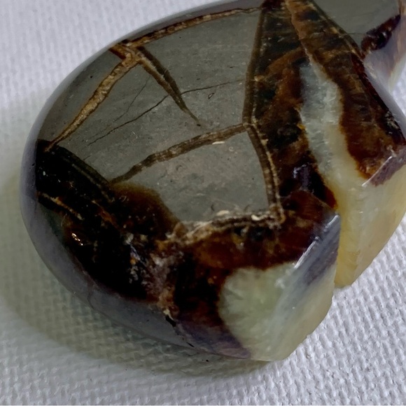 Geode Septarian Nodule Bear Figurine Carved Zuni Style Dragon Stone Carving 2" - Picture 9 of 12